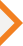 Lake Road triangle icon